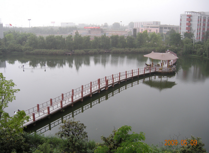 为什么选择成都幼师学校